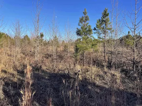 628 Rex Rd, Clinton, AR 72031 photo 42