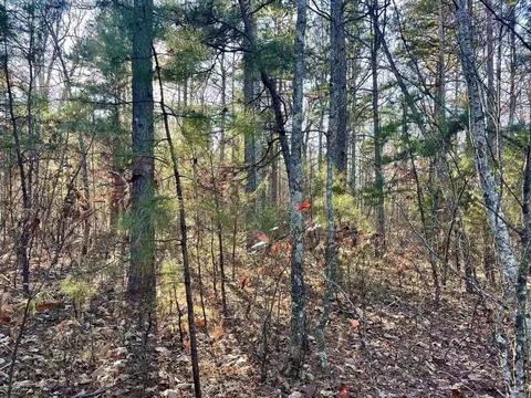 628 Rex Rd, Clinton, AR 72031 photo 8