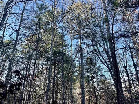 628 Rex Rd, Clinton, AR 72031 photo 11