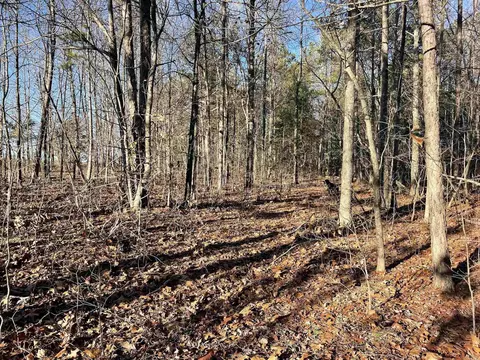 628 Rex Rd, Clinton, AR 72031 photo 25