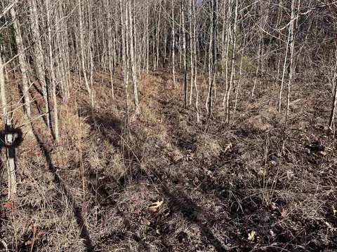 628 Rex Rd, Clinton, AR 72031 photo 40