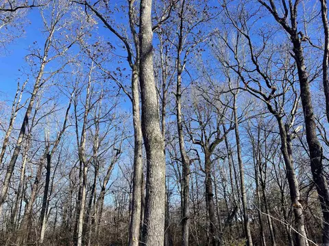 628 Rex Rd, Clinton, AR 72031 photo 22