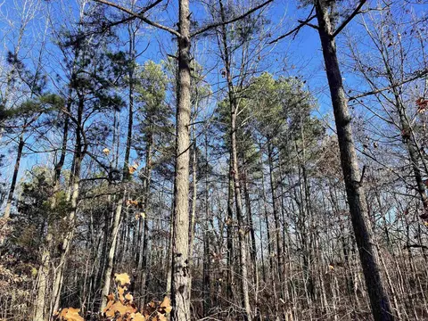 628 Rex Rd, Clinton, AR 72031 photo 24