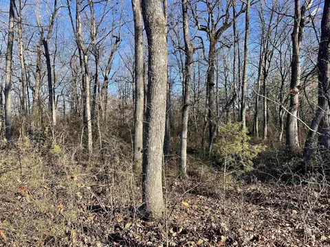 628 Rex Rd, Clinton, AR 72031 photo 21