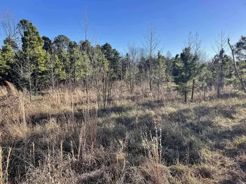 628 Rex Rd, Clinton, AR 72031 photo 45