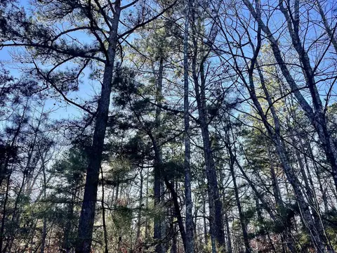 628 Rex Rd, Clinton, AR 72031 photo 9