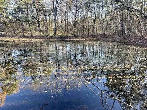 628 Rex Rd, Clinton, AR 72031 photo 16