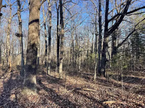 628 Rex Rd, Clinton, AR 72031 photo 29