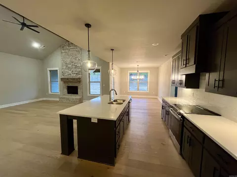 9722 Gunter Loop, Benton, AR 72019 photo 14