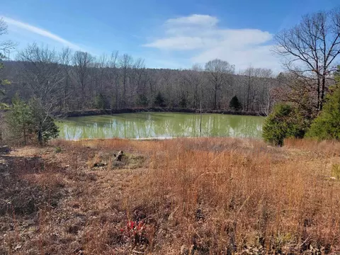 View/Area - 511 Round Mtn, Conway, AR 72034 photo 3 of 4
