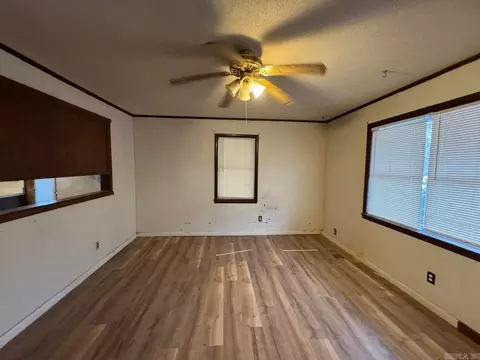 113 Diane Ave, Ash Flat, AR 72513 photo 11