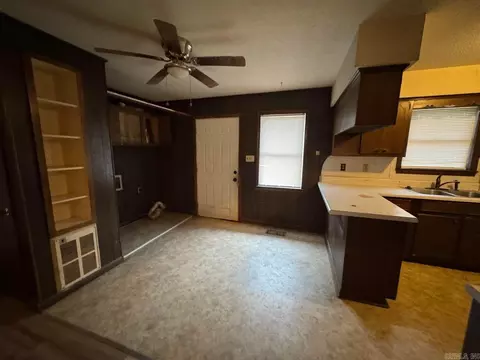 113 Diane Ave, Ash Flat, AR 72513 photo 14
