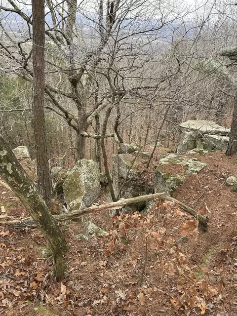 286 Julor Ranch Rd, Marshall, AR 72650 photo 39