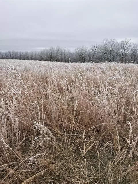 286 Julor Ranch Rd, Marshall, AR 72650 photo 36