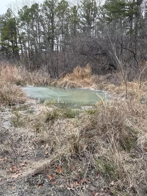 286 Julor Ranch Rd, Marshall, AR 72650 photo 34