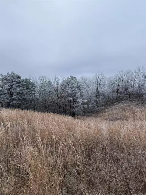 286 Julor Ranch Rd, Marshall, AR 72650 photo 41