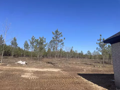 9730 Gunter Loop, Benton, AR 72019 photo 3