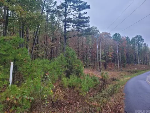 065 Pine Hill Estates Rd, Higden, AR 72067 photo 5