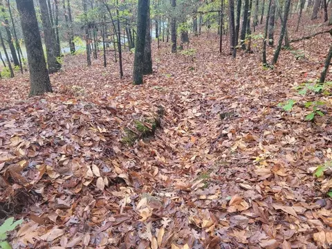 065 Pine Hill Estates Rd, Higden, AR 72067 photo 12