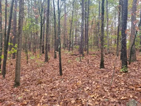 065 Pine Hill Estates Rd, Higden, AR 72067 photo 2