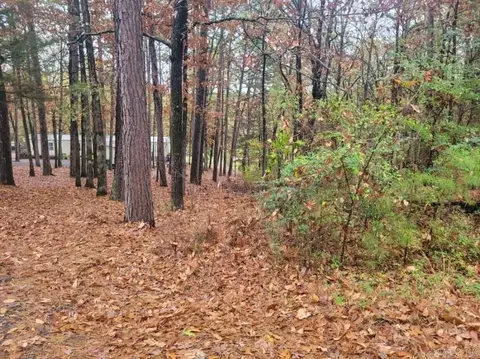 065 Pine Hill Estates Rd, Higden, AR 72067 photo 9