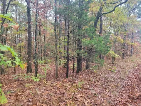 065 Pine Hill Estates Rd, Higden, AR 72067 photo 8