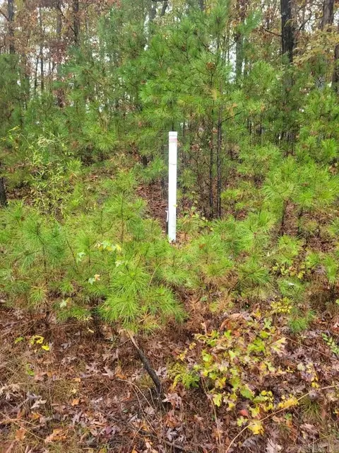 065 Pine Hill Estates Rd, Higden, AR 72067 photo 6
