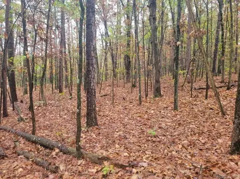 065 Pine Hill Estates Rd, Higden, AR 72067 photo 11