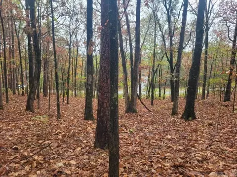 065 Pine Hill Estates Rd, Higden, AR 72067