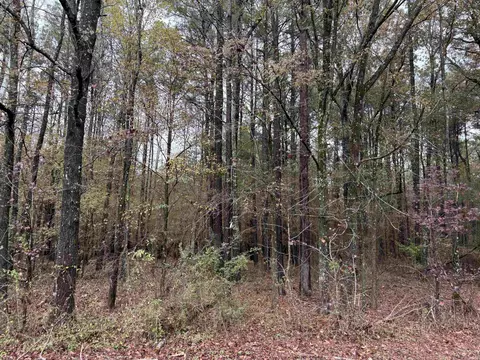 6670 Rodgers Rd E, Rison, AR 71665 photo 9