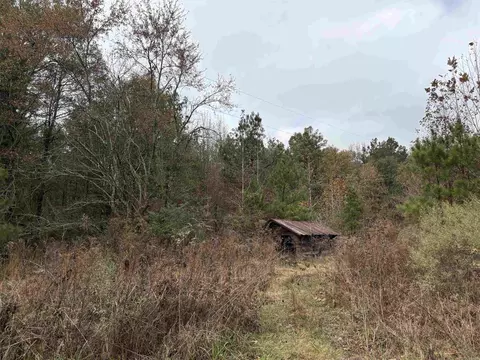 6670 Rodgers Rd E, Rison, AR 71665 photo 3