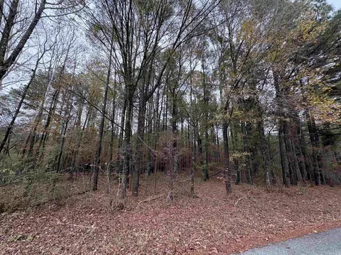 6670 Rodgers Rd E, Rison, AR 71665 photo 10