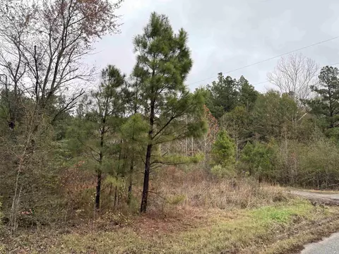 6670 Rodgers Rd E, Rison, AR 71665 photo 6