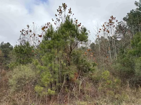 6670 Rodgers Rd E, Rison, AR 71665 photo 18