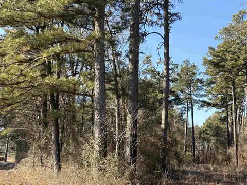 6670 Rodgers Rd E, Rison, AR 71665 photo 17