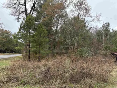 6670 Rodgers Rd E, Rison, AR 71665 photo 4