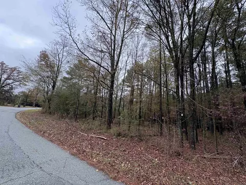 6670 Rodgers Rd E, Rison, AR 71665 photo 11