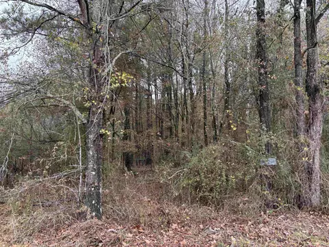 6670 Rodgers Rd E, Rison, AR 71665 photo 8