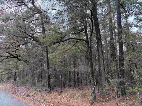 6670 Rodgers Rd E, Rison, AR 71665 photo 16