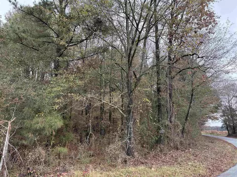 6670 Rodgers Rd E, Rison, AR 71665 photo 7