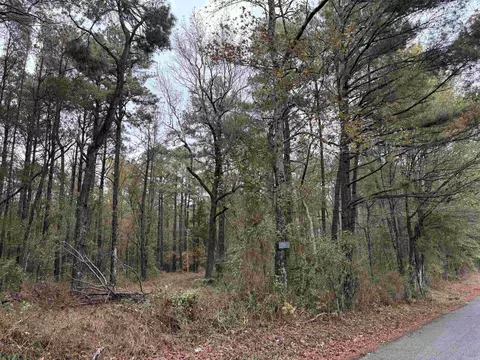 6670 Rodgers Rd E, Rison, AR 71665 photo 13