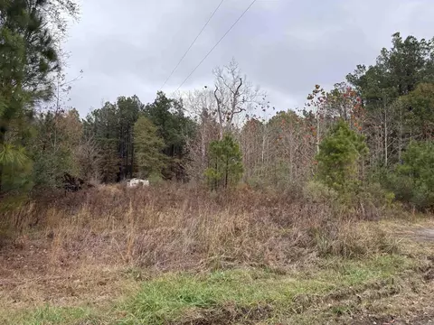 6670 Rodgers Rd E, Rison, AR 71665 photo 2