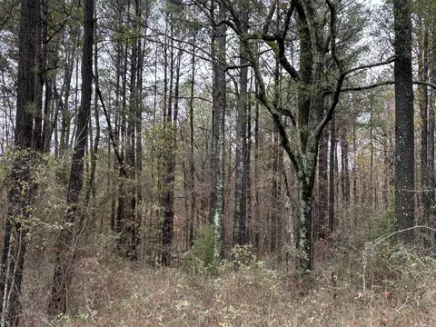 6670 Rodgers Rd E, Rison, AR 71665 photo 14