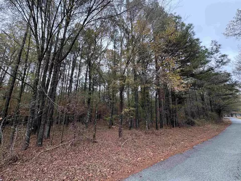 6670 Rodgers Rd E, Rison, AR 71665 photo 12