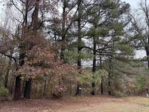 6670 Rodgers Rd E, Rison, AR 71665 photo 5