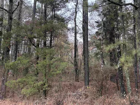 6670 Rodgers Rd E, Rison, AR 71665 photo 15