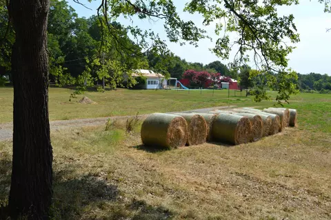 3613 Purcell Rd, Paragould, AR 72450