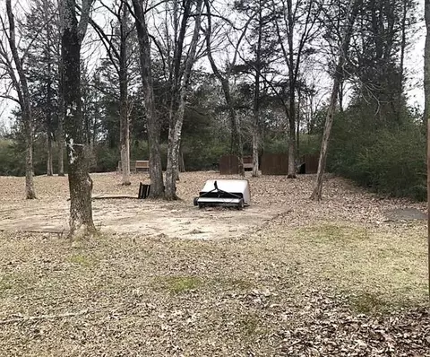 Other - 42 Carroll Ln, Conway, AR 72032 photo 4 of 5