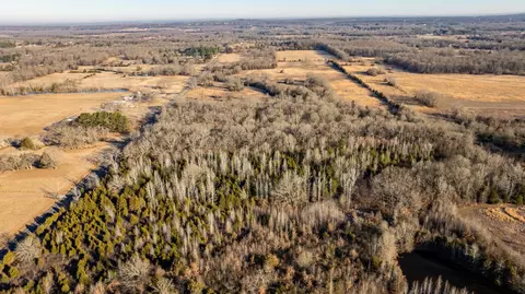 8 Rooster Road, Conway, AR 72032 photo 4