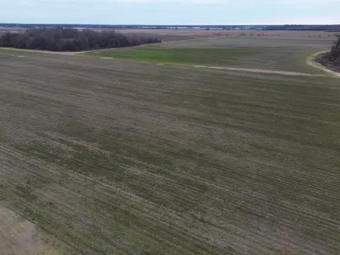 6000 Hwy 425, Star City, AR 71667